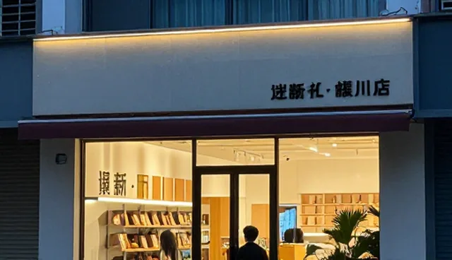 技术服务的使用与维护建议,明确适用情况与限制